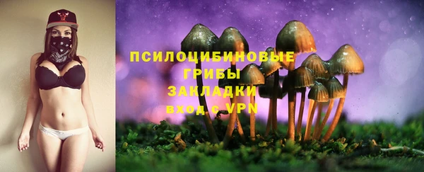 круглые Бронницы