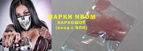 стаф Верея