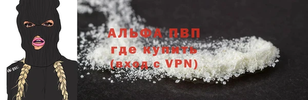 стаф Верея