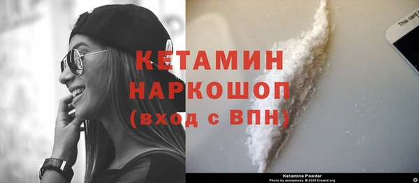 ECSTASY Бородино