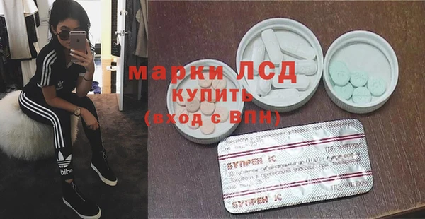 стаф Верея