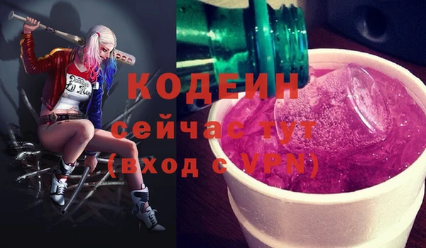 ECSTASY Бородино