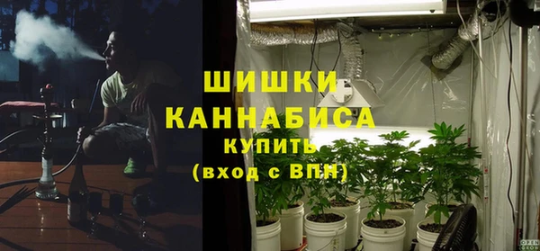 ECSTASY Бородино