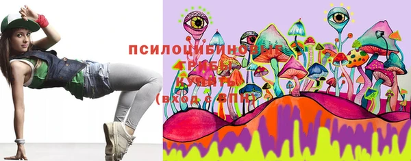 гидропоника Богородск